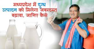 Milk production: मध्यप्रदेश में दुग्ध उत्पादन को मिलेगा जबरदस्त बढ़ावा, जानिए कैसे