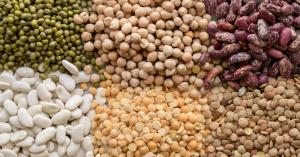 Soybean varieties: आईसीएआर द्वारा विकसित सोयाबीन की 2 उन्नत किस्में, बेहतर उत्पादन और कीट प्रतिरोधक क्षमता