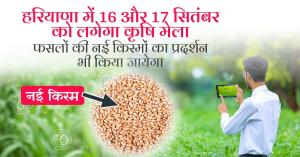 Haryana Agricultural Fair to Be Held on September 16-17, Featuring New Crop Varieties