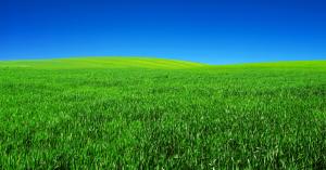 MP Weather: मध्यप्रदेश में अगले 3 दिनों के लिए साफ मौसम की भविष्यवाणी, इस साल दर्ज हुई सामान्य से अधिक बारिश