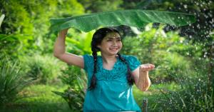 MP Weather Alert: मध्य प्रदेश के इन 8 जिलों में भारी बारिश की चेतावनी, फिर लौटा मानसून इन राज्यों में,  पढ़ें IMD की रिपोर्ट