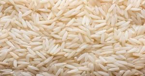 Latest Rice market price today in Uttar Pradesh on (26 September 2024)