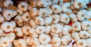 Garlic market price today in Maharashtra on (27 September 2024)