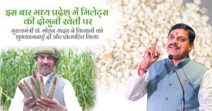 मध्यप्रदेश में मिलेट्स की खेती का रकबा दोगुना, किसानों को प्रोत्साहन और उत्पादन में वृद्धि, जानिए पूरी खबर