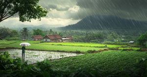 Weather forecast: Heavy rainfall in these states for the next 7 days, read the IMD report