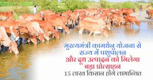 मुख्यमंत्री कामधेनु योजना से राज्य में पशुपालन और दूध उत्पादन को मिलेगा बड़ा प्रोत्साहन, 15 लाख किसान होंगे लाभान्वित