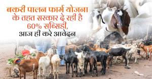 Want to open a goat farming farm, Government is giving 60% subsidy, complete information here