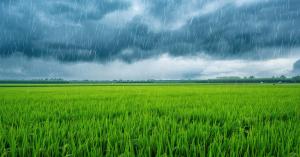 Bihar Weather Update: Monsoon Still Active, Light Drizzle Expected in Several Districts