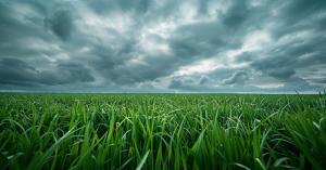 MP weather update: मध्य प्रदेश में आज बारिश का अलर्ट, मौसम ने लिया यू-टर्न, जानें ताजा अपडेट