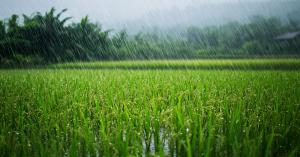 Weather update today: Rain likely in over 10 states today from Delhi to Patna, here's the forecast