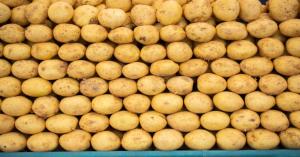 Latest potato market price today in Uttar Pradesh (11 October, 2024)