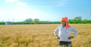 MSP for Rabi crops increased, with expectations of a good rise in wheat, lentils, and chickpeas