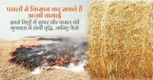 CAQM has imposed a ban on stubble burning, learn about the new rules