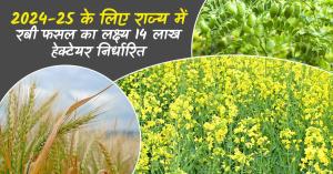 Rabi Crop Target Set at 1.4 Million Hectares in the State for 2024-25