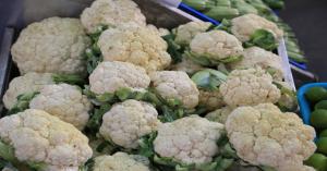 Cauliflower market price today in Madhya Pradesh (15 October, 2024)