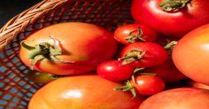 Tomato Prices in Punjab on 17th October 2024: Latest Market Rates