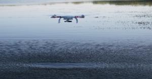 Revolution in Fisheries: Workshop on Drone Technology to be Held at Gyan Bhawan, Patna on October 19