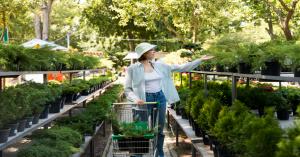 E-Nursery Portal: Simplifying Plant Trade, A New Technological Revolution in Horticulture