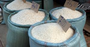 Fresh Rice Prices in Various Markets of Uttar Pradesh (October 23, 2024)