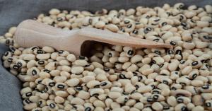 MSP based soybean procurement started at 1,400 centers in Madhya Pradesh