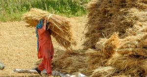 Meeting on Crop Residue Management: Significant Reduction in Stubble Burning Cases in Punjab, Haryana, and UP