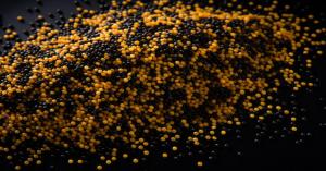 Mustard market rates today in Uttar Pradesh ( 05 November, 2024)