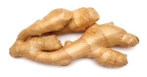 Fresh Ginger market prices today in Uttar Pradesh (09 November 2024)