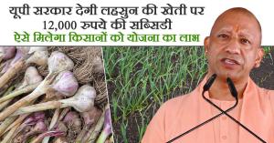 Garlic cultivation: यूपी सरकार देगी लहसुन की खेती पर 12,000 रुपये की सब्सिडी, ऐसे मिलेगा किसानों को योजना का लाभ