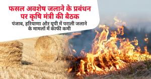 Stubble management to boost crop yield, why burning crop residue harms both farmers and the environment