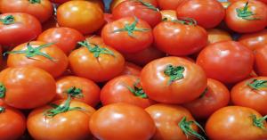 Tomato market prices today in Rajasthan and Gujarat (20 November, 2024)