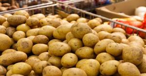 Fresh Potato market prices today in Uttar Pradesh (21 November, 2024)