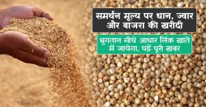 समर्थन मूल्य पर धान, ज्वार और बाजरा की खरीदी, भुगतान सीधे आधार लिंक खाते में जायेगा, पढ़ें पूरी खबर