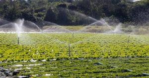 Madhya Pradesh Irrigation Projects, Targeting 1 Crore Hectares by 2028
