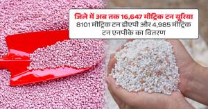 जिले में अब तक 16,647 मीट्रिक टन यूरिया, 8,101 मीट्रिक टन डीएपी और 4,985 मीट्रिक टन एनपीके का वितरण