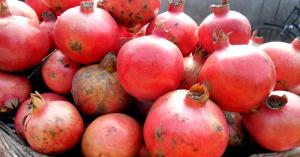 Pomegranate market prices today in Haryana and Punjab (29 November, 2024)