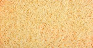 Latest rice market prices today in Uttar Pradesh (02 December, 2024)