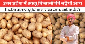 Potato price: उत्तर प्रदेश में आलू किसानों की बढ़ेगी आय, मिलेगा अंतरराष्ट्रीय बाजार का लाभ, जानिए कैसे