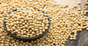 Soybean market price today in Rajasthan (10 December, 2024)