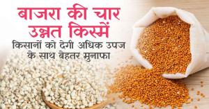 Production-linked incentive scheme to promote millet-based products launched with allocation of ₹800 crore