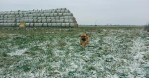 MP weather alert: Cold Wave to Affect Over 15 Cities Including Bhopal