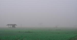 Delhi weather Update: Cold Wave Hits as Temperature Drops, Check the Weather Across India