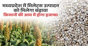 Madhya Pradesh government launches several schemes to promote millets production