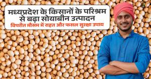 Madhya Pradesh Farmers' Hard Work Boosts Soybean Production amid Weather Challenges