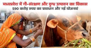 मध्यप्रदेश में गौ-संरक्षण और दुग्ध उत्पादन का विकास, 590 करोड़ रुपए का प्रावधान और नई योजनाएं