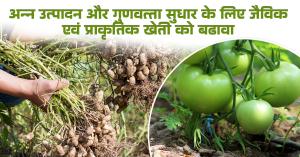 Promoting Organic and Natural Farming to Enhance Food Production and Quality