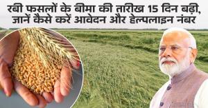 Rabi Crop Insurance Extended Deadline, Learn How to Apply Online and Helpline Numbers