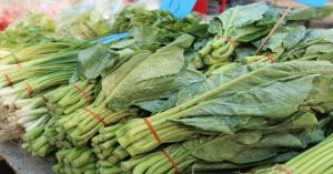 Latest Spinach market prices today in Madhya Pradesh and Gujarat (21 January, 2025)