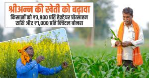 Farmers will get an incentive of Rs 3,900 per hectare and a bonus of Rs 1,000 per quintal for Srianna farming