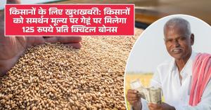 Registration for Wheat Sale at Support Price for Rabi Season 2025-26 Available Until March 31, 2025