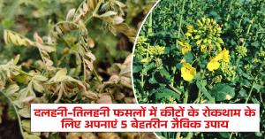 5 Effective Organic Solutions for Pest Control in Pulses and Oilseed Crops